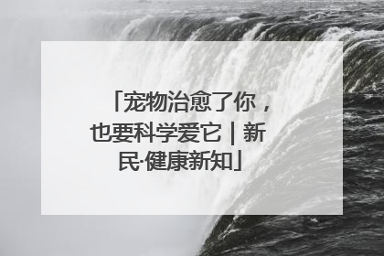 宠物治愈了你，也要科学爱它｜新民·健康新知