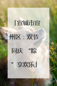 宣城市宣州区：双节同庆 “粽”享欢乐