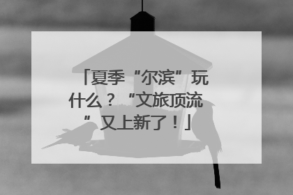 夏季“尔滨”玩什么？“文旅顶流”又上新了！
