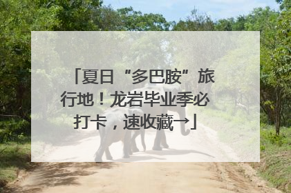 夏日“多巴胺”旅行地！龙岩毕业季必打卡，速收藏→