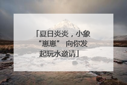 夏日炎炎，小象“崽崽” 向你发起玩水邀请