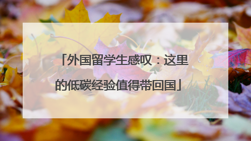 外国留学生感叹：这里的低碳经验值得带回国