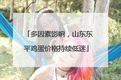 多因素影响，山东东平鸡蛋价格持续低迷