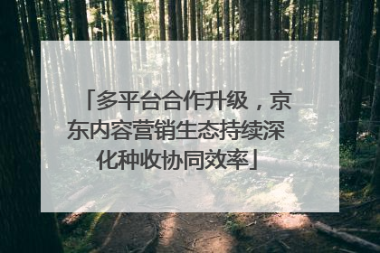 多平台合作升级，京东内容营销生态持续深化种收协同效率