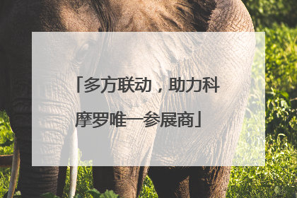 多方联动，助力科摩罗唯一参展商