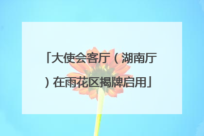 大使会客厅（湖南厅）在雨花区揭牌启用
