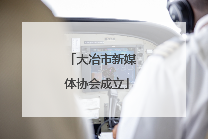 大冶市新媒体协会成立