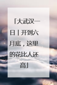 大武汉一日︱开到六月底，这里的花比人还高