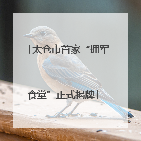 太仓市首家“拥军食堂”正式揭牌