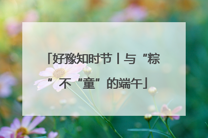 好豫知时节丨与“粽”不“童”的端午