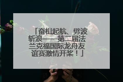 奋楫起航、劈波斩浪——第二届法兰克福国际龙舟友谊赛激情开桨！