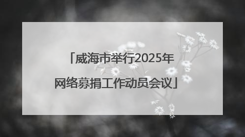 威海市举行2025年网络募捐工作动员会议