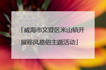 威海市文登区米山镇开展移风易俗主题活动