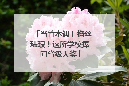 当竹木遇上掐丝珐琅！这所学校捧回省级大奖