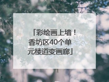彩绘画上墙！香坊区40个单元楼道变画廊