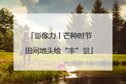 影像力丨芒种时节 田间地头绘“丰”景