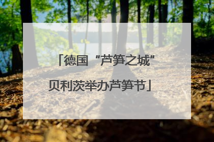 德国“芦笋之城”贝利茨举办芦笋节