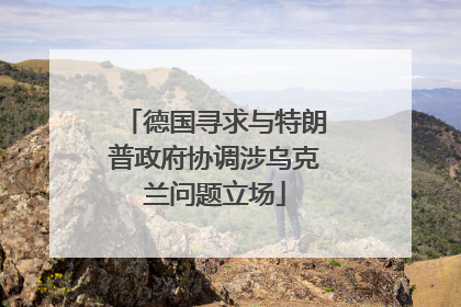 德国寻求与特朗普政府协调涉乌克兰问题立场