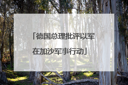 德国总理批评以军在加沙军事行动