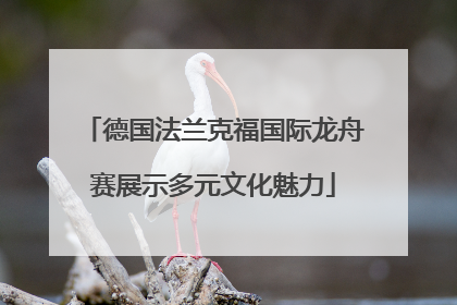 德国法兰克福国际龙舟赛展示多元文化魅力
