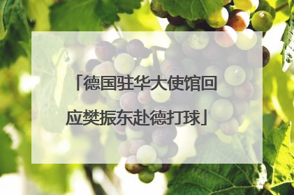 德国驻华大使馆回应樊振东赴德打球