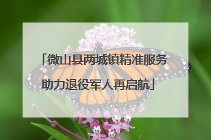 微山县两城镇精准服务助力退役军人再启航