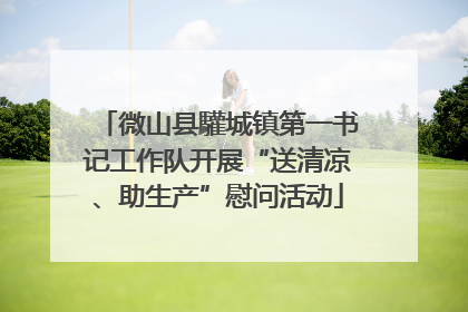 微山县驩城镇第一书记工作队开展“送清凉、助生产”慰问活动