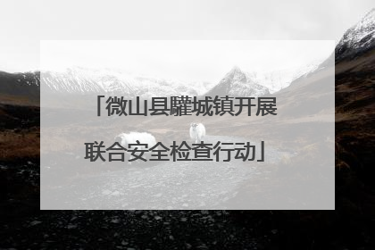 微山县驩城镇开展联合安全检查行动