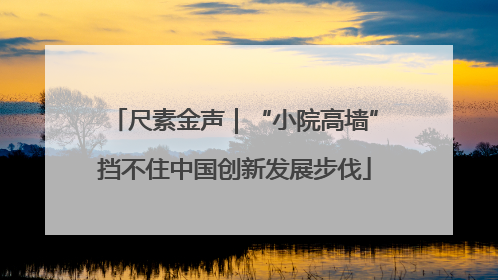 尺素金声｜“小院高墙”挡不住中国创新发展步伐
