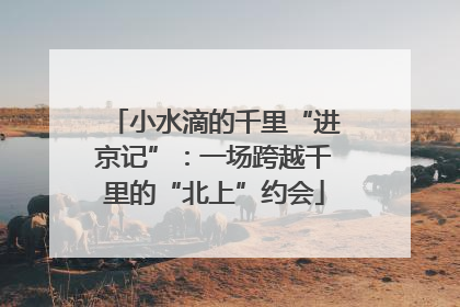小水滴的千里“进京记”：一场跨越千里的“北上”约会