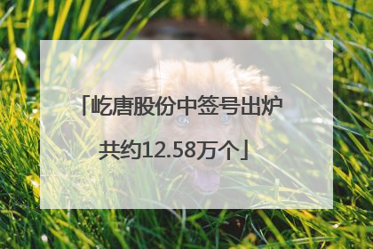 屹唐股份中签号出炉 共约12.58万个