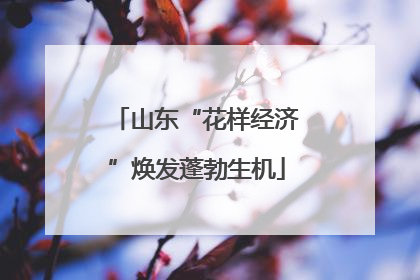 山东“花样经济”焕发蓬勃生机