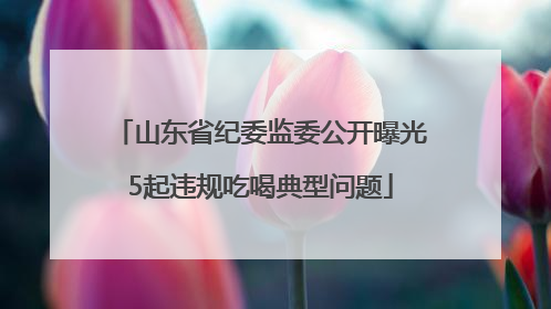 山东省纪委监委公开曝光5起违规吃喝典型问题