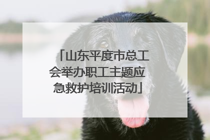 山东平度市总工会举办职工主题应急救护培训活动