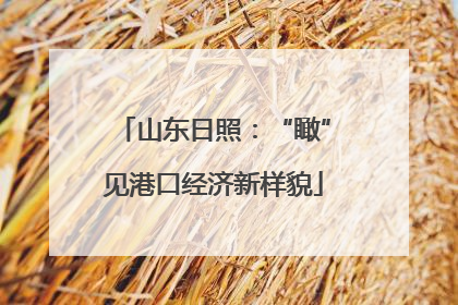 山东日照：“瞰”见港口经济新样貌