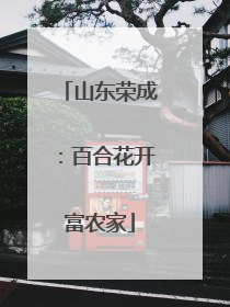 山东荣成：百合花开富农家