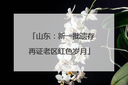 山东：新一批遗存再证老区红色岁月