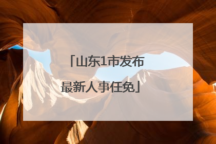山东1市发布最新人事任免