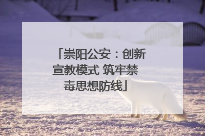 崇阳公安：创新宣教模式 筑牢禁毒思想防线