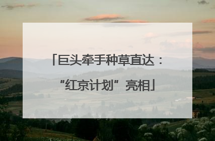 巨头牵手种草直达：“红京计划”亮相