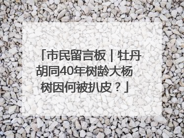 市民留言板｜牡丹胡同40年树龄大杨树因何被扒皮？