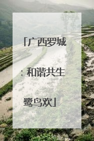 广西罗城：和谐共生鹭鸟欢