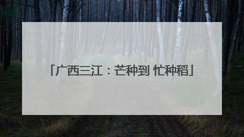 广西三江：芒种到 忙种稻
