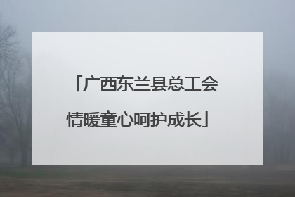 广西东兰县总工会情暖童心呵护成长