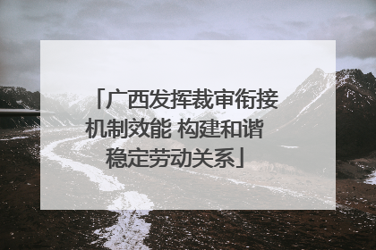 广西发挥裁审衔接机制效能 构建和谐稳定劳动关系