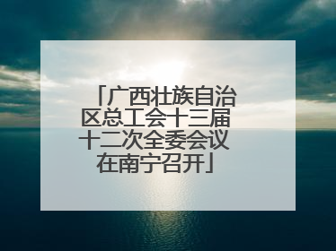 广西壮族自治区总工会十三届十二次全委会议在南宁召开
