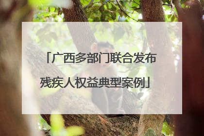 广西多部门联合发布残疾人权益典型案例