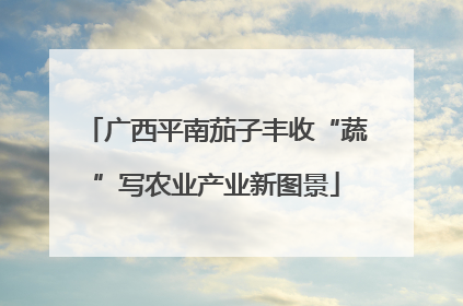 广西平南茄子丰收“蔬”写农业产业新图景