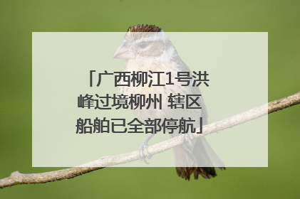广西柳江1号洪峰过境柳州 辖区船舶已全部停航