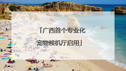 广西首个专业化宠物候机厅启用